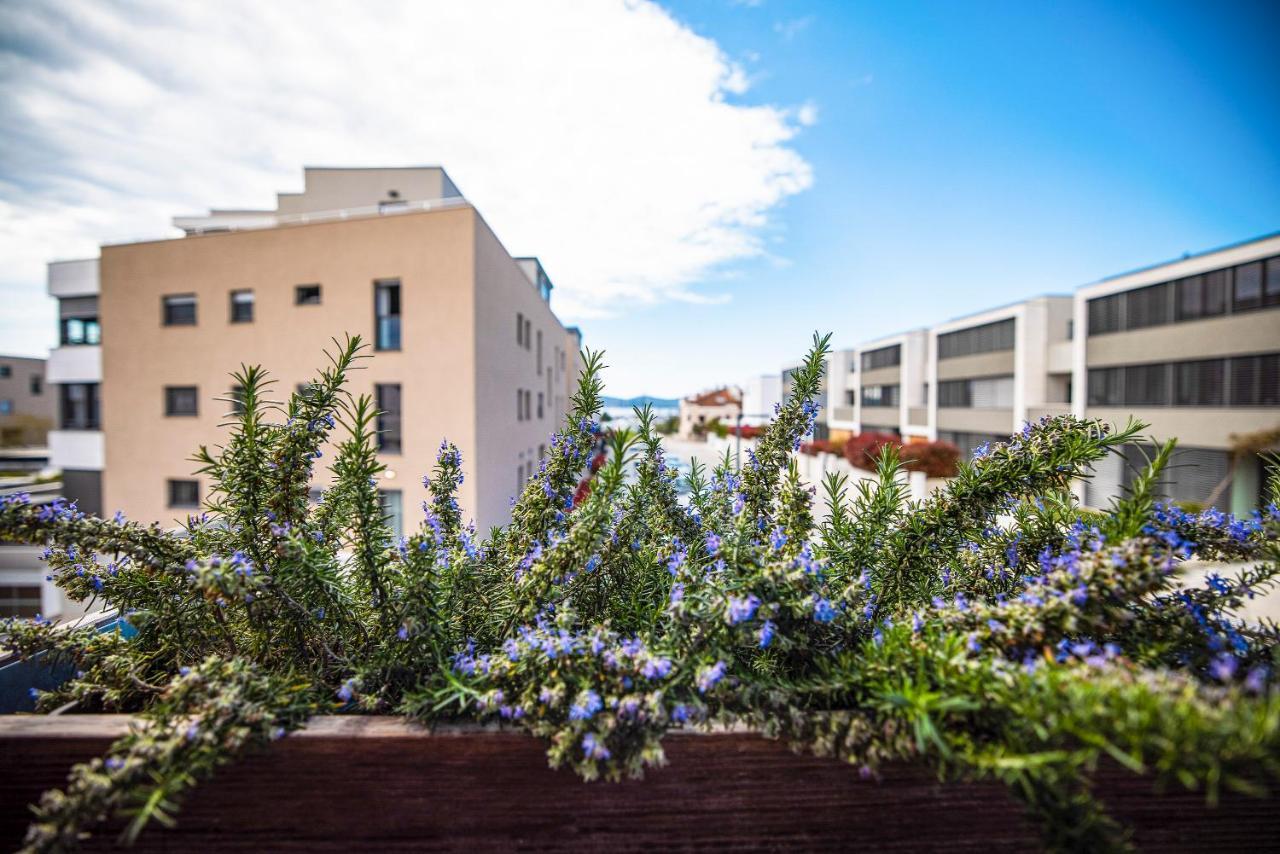 Ika Boutique Luxury Apartments Zadar Exterior photo